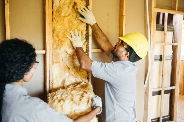 Best Insulation for Existing Homes  in Midvale, UT